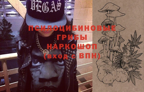 дурь Дмитриев