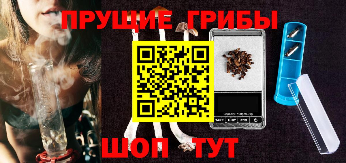 Псилоцибиновые грибы Psilocybe Богданович
